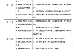  儿童篮球训练在不同阶段的目标是什么？分阶段训练的科学方法与实践指南